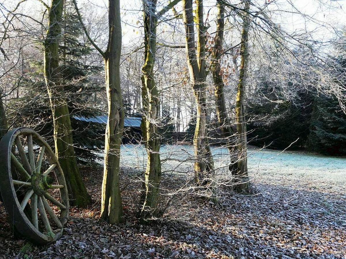 Zur Schanze Holtgast-Apen エクステリア 写真
